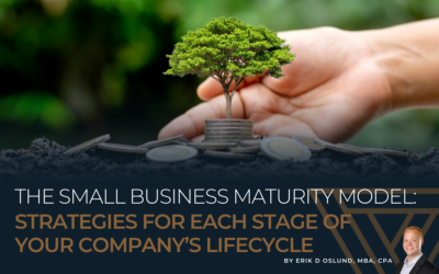 The Small Business Maturity Model: Strategies for Each Stage of Your Company’s Lifecycle